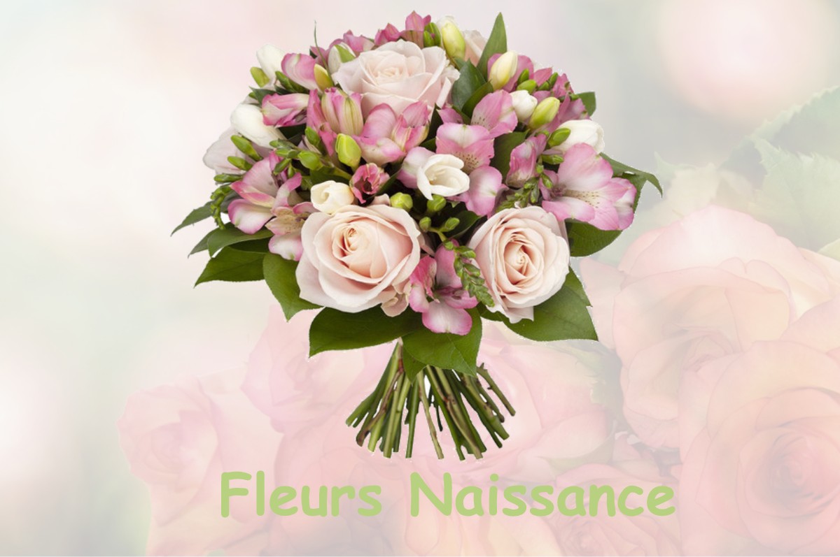 fleurs naissance PLESSIX-BALISSON
