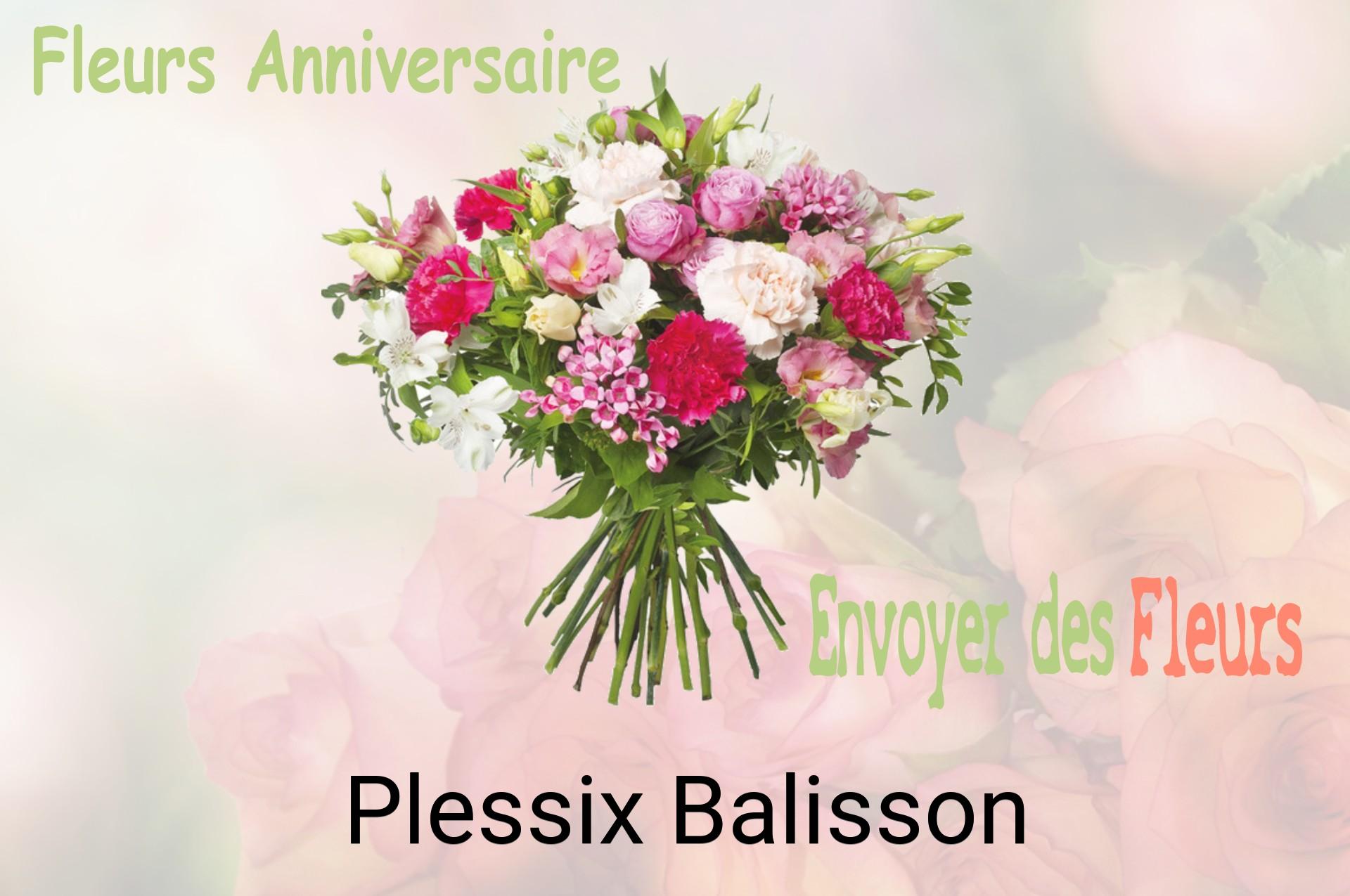 Bouquet de fleurs d’anniversaire livré à Plessix-Balisson