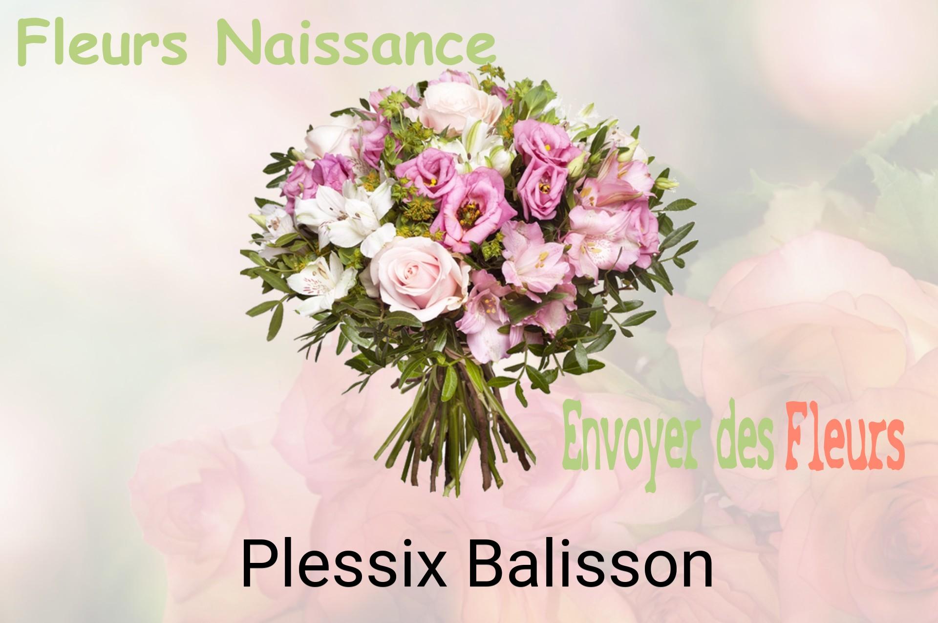 Bouquet de fleurs de naissance livré à Plessix-Balisson